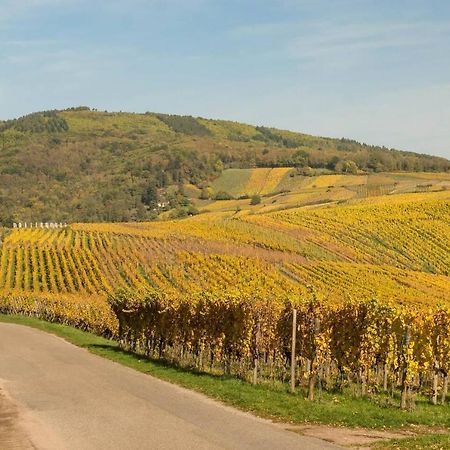Charmant Appartement Alsacien Ribeauvillé Zewnętrze zdjęcie