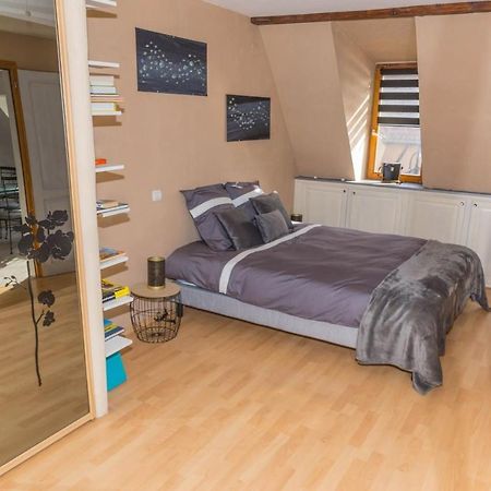 Charmant Appartement Alsacien Ribeauvillé Zewnętrze zdjęcie