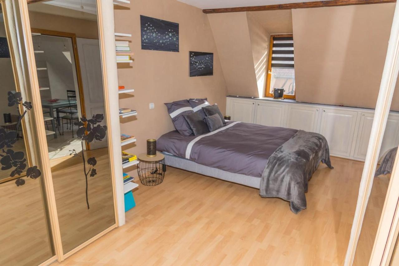 Charmant Appartement Alsacien Ribeauvillé Zewnętrze zdjęcie