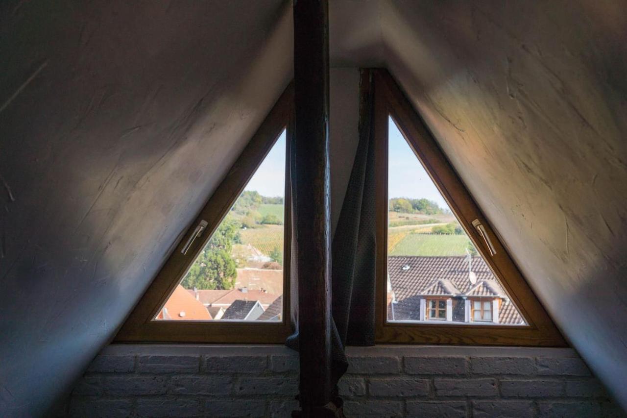 Charmant Appartement Alsacien Ribeauvillé Zewnętrze zdjęcie
