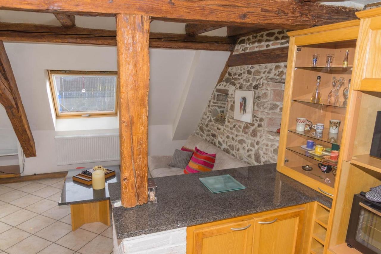 Charmant Appartement Alsacien Ribeauvillé Zewnętrze zdjęcie