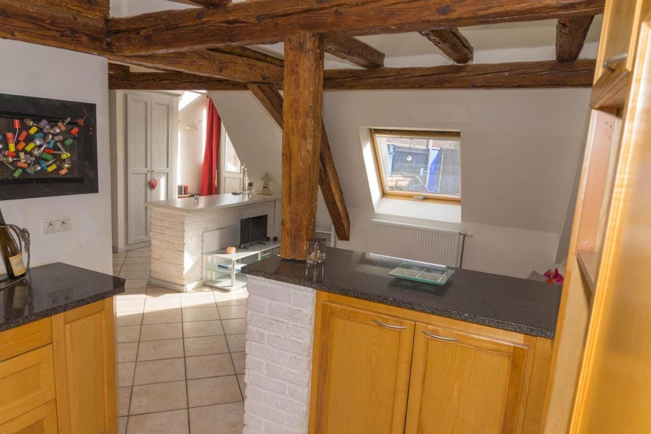 Charmant Appartement Alsacien Ribeauvillé Zewnętrze zdjęcie