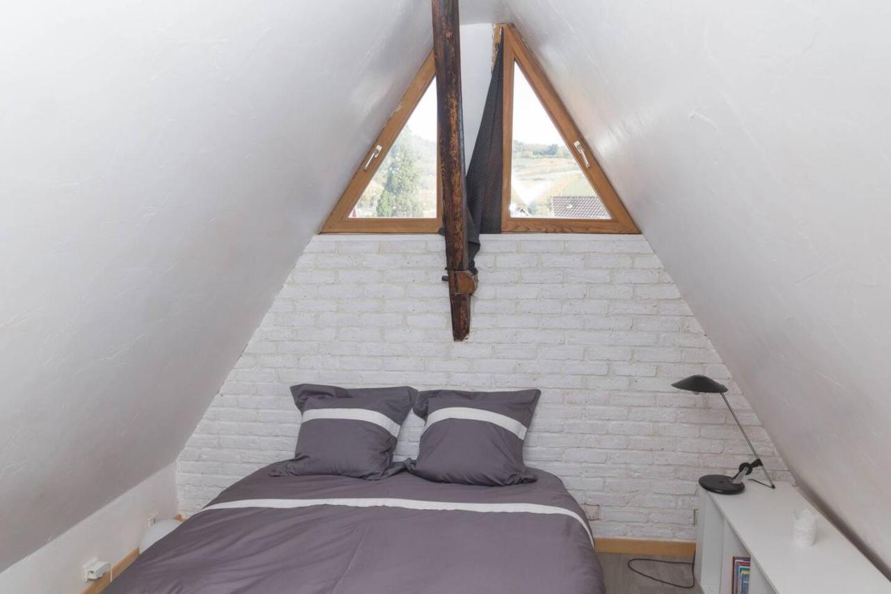 Charmant Appartement Alsacien Ribeauvillé Zewnętrze zdjęcie